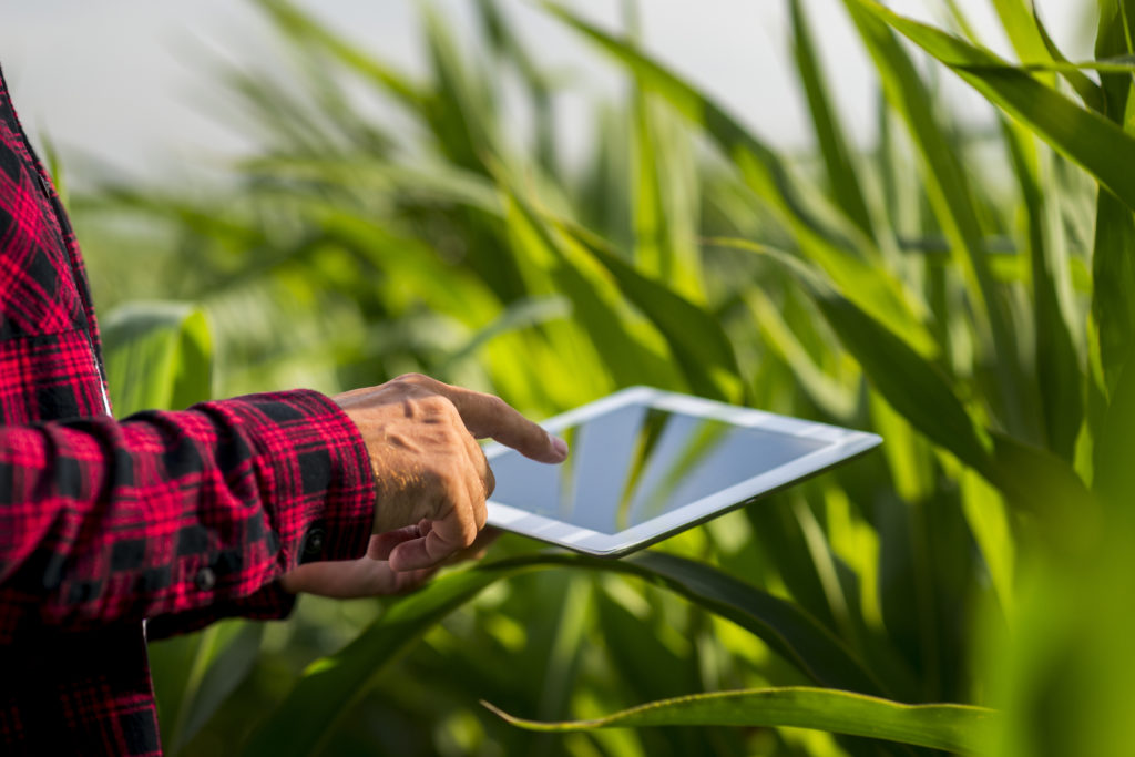 Gestão do agronegócio: uma pessoa com um tablet no meio de um campo. 