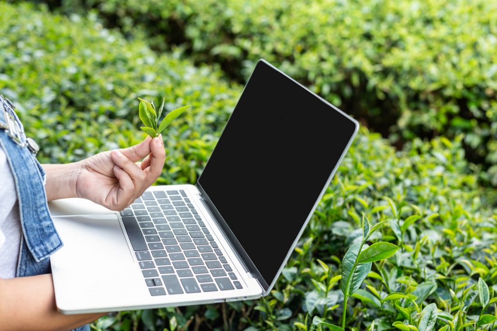 Gestão do agronegócio: uma pessoa segurança uma muda  um computador no meio de um campo verde. 