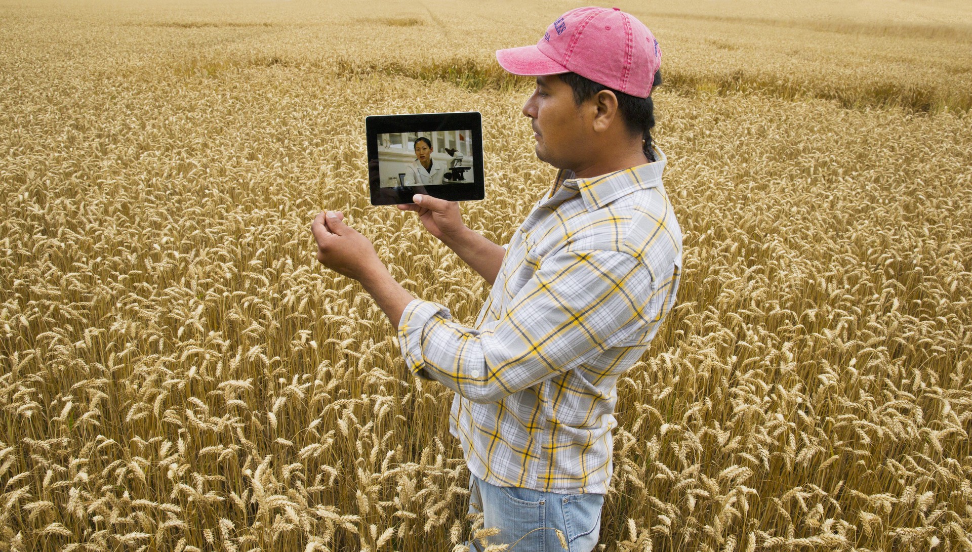 Globo Rural: Os Benefícios Das Novas Tecnologias No Campo