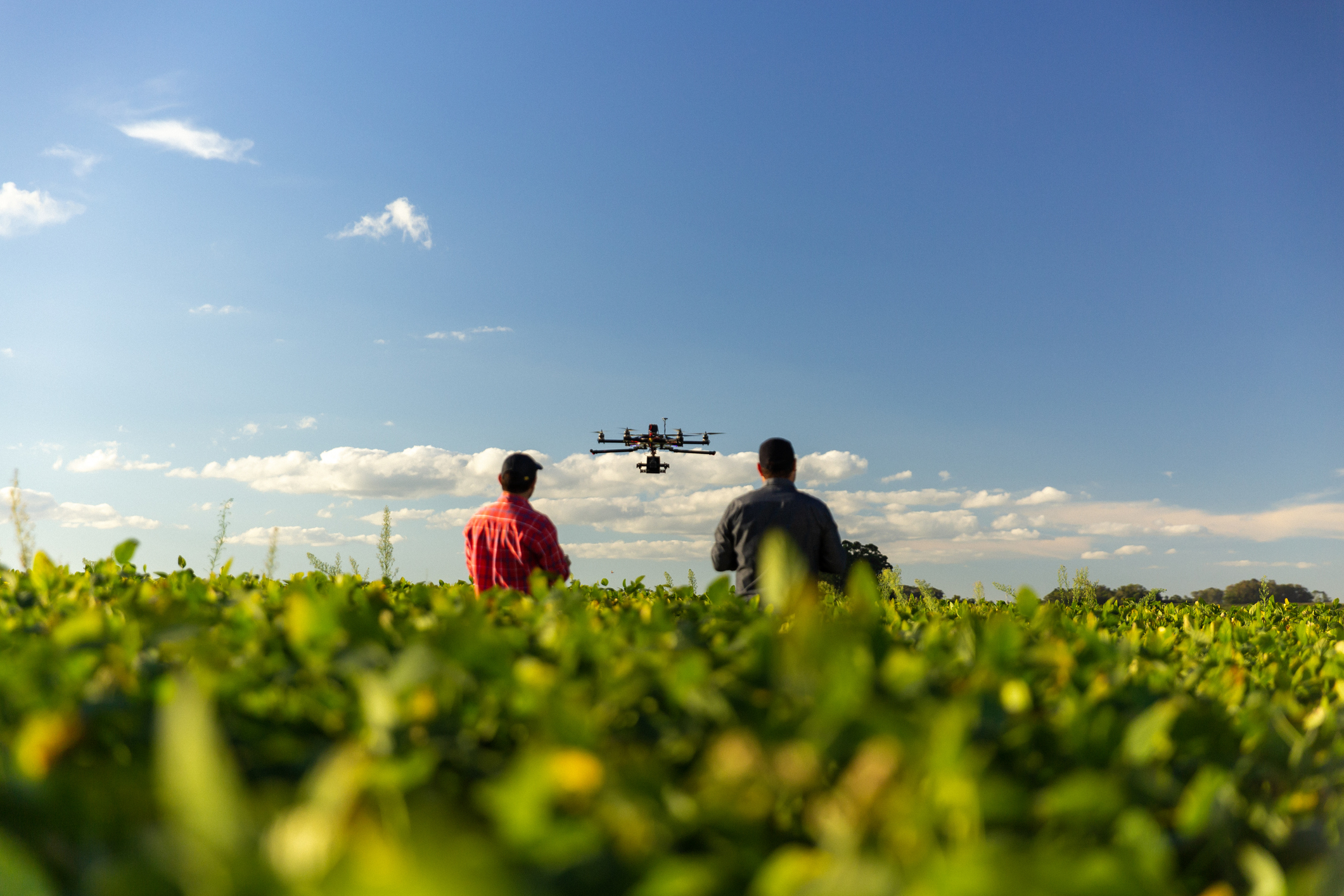 Dois homens comandam drone que faz sensoriamento remoto da lavoura deles
