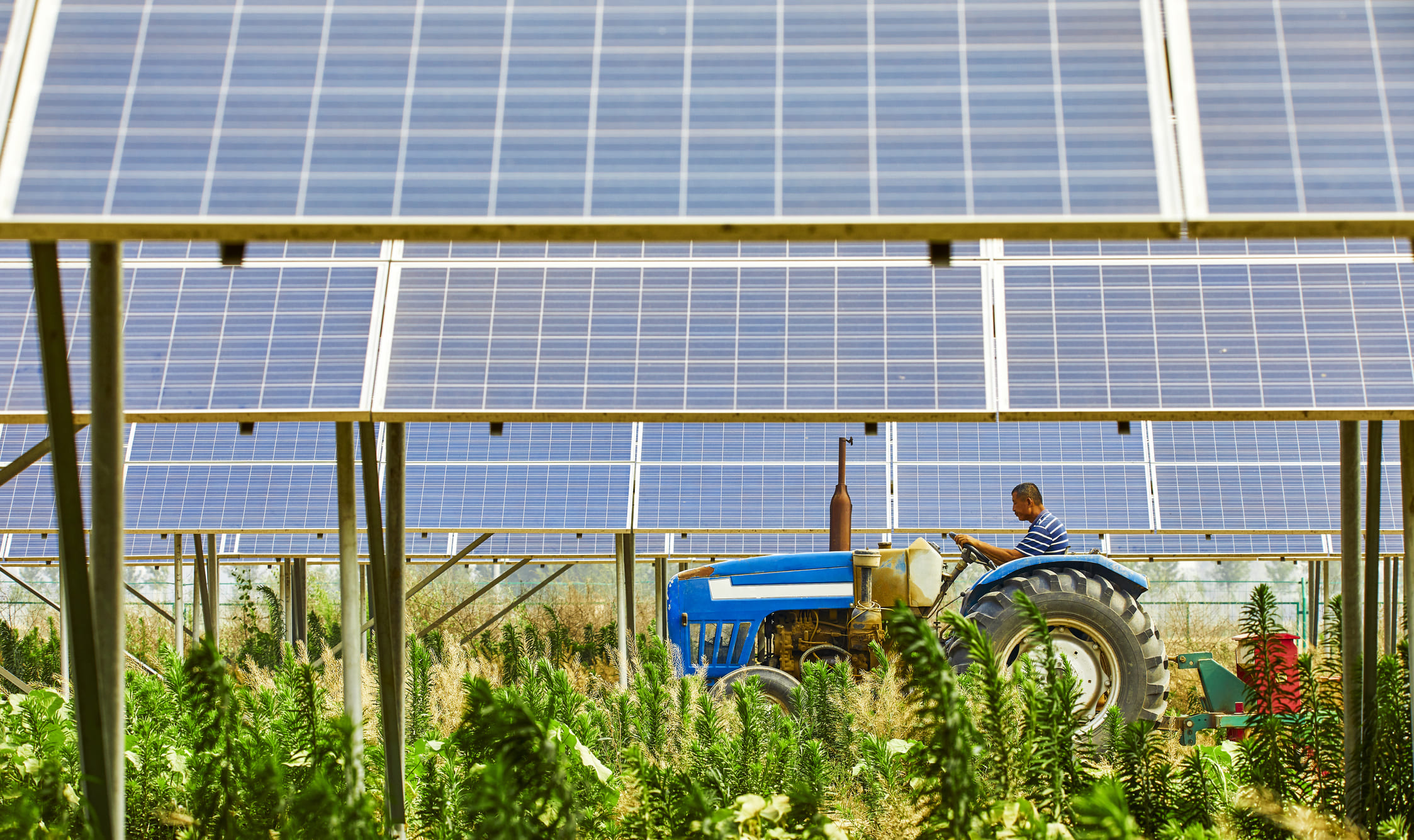 Clube Agro e BRLK vão levar energia solar às propriedades rurais