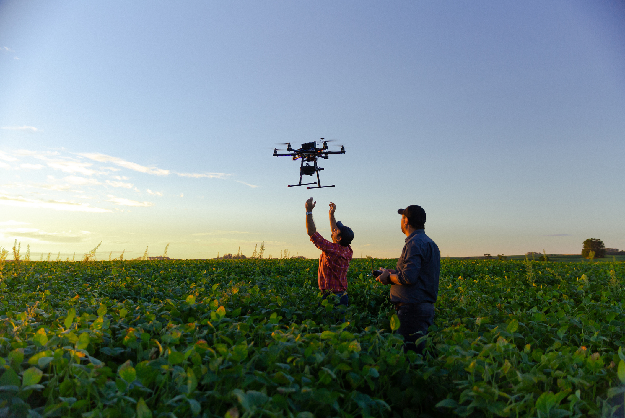 Globo Rural: Os Benefícios Das Novas Tecnologias No Campo